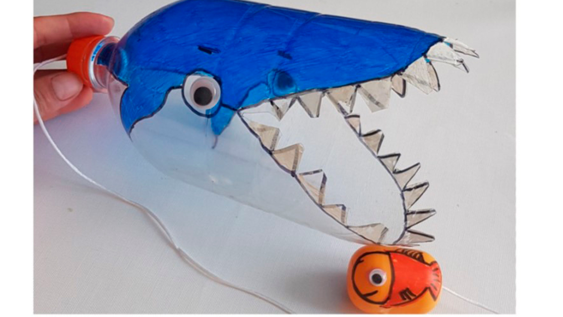 blog colechef tiburones reciclados infantil